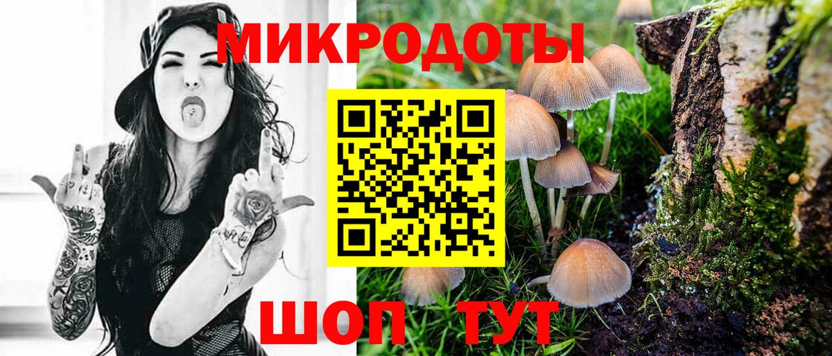 Псилоцибиновые грибы Psilocybe Балаково