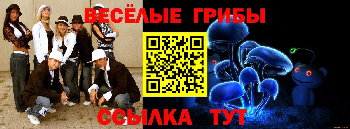 Галлюциногенные грибы Psilocybine cubensis  Псилоцибиновые грибы мицелий  наркота  Балаково  Вход с VPN 