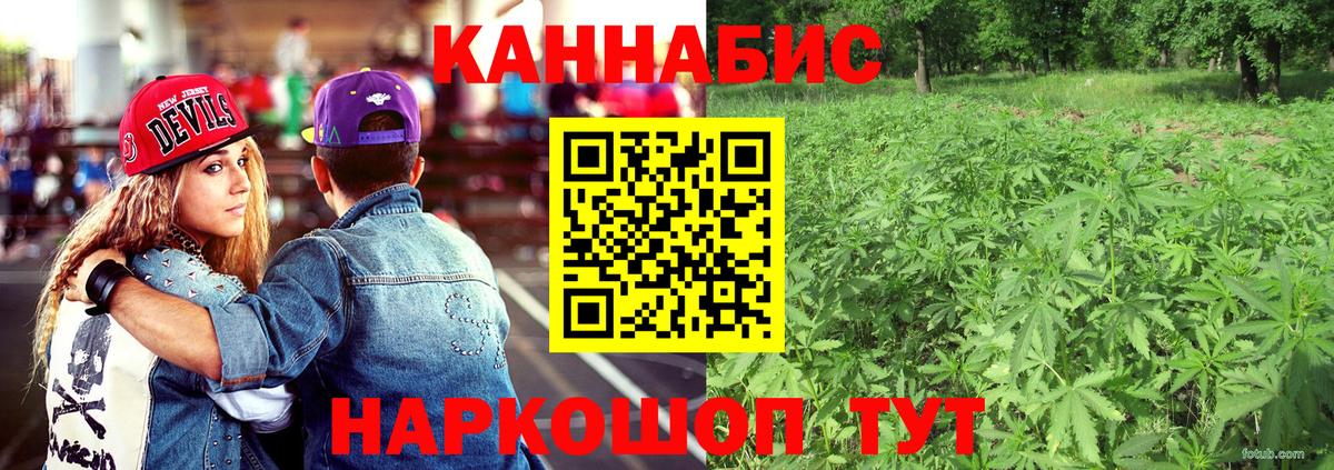 Балаково  Бошки марихуана планчик  Бошки Шишки план  Канабис ГИДРОПОН  Вход с VPN  Бошки марихуана OG Kush 